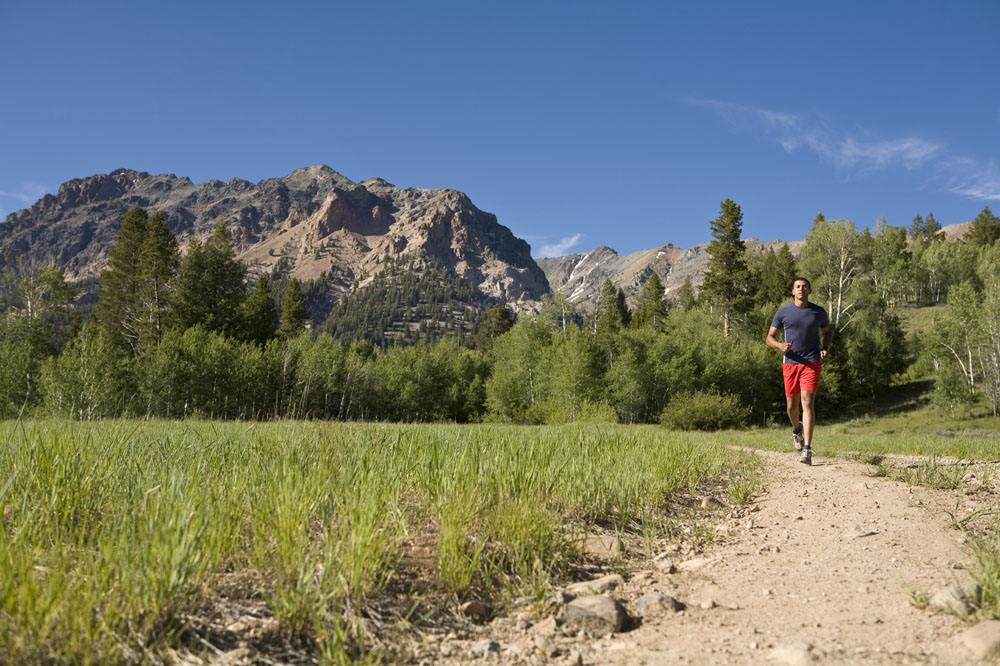 Ұ�������ܲ�ͼƬ