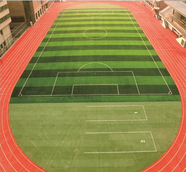 �����ʹ�5vip����