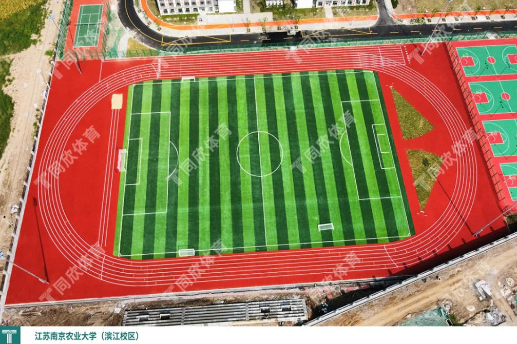 �����ʹ�5vip����