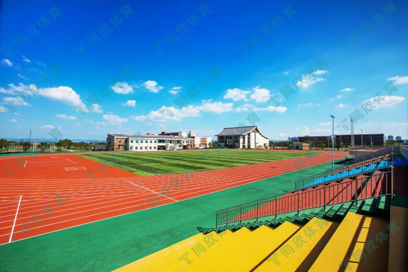 �����ʹ�5vip����