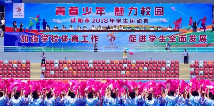 �����ʹ�5vip����