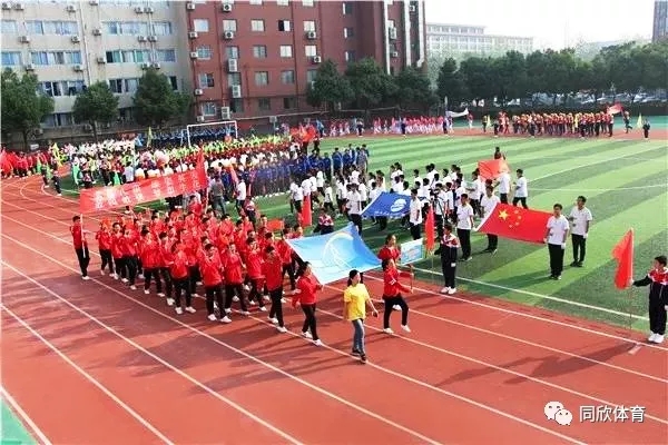 �����ʹ�5vip����