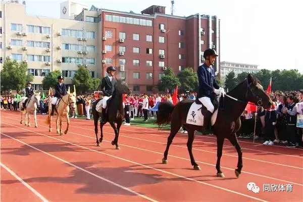 �����ʹ�5vip����