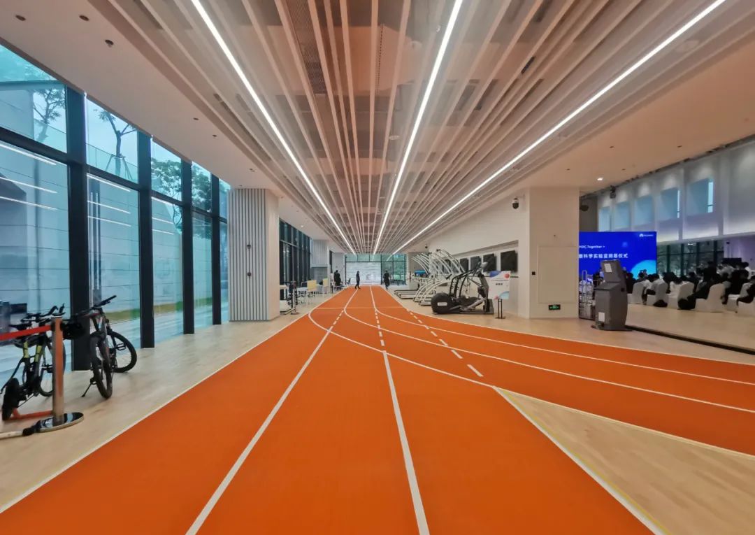 �����ʹ�5vip����