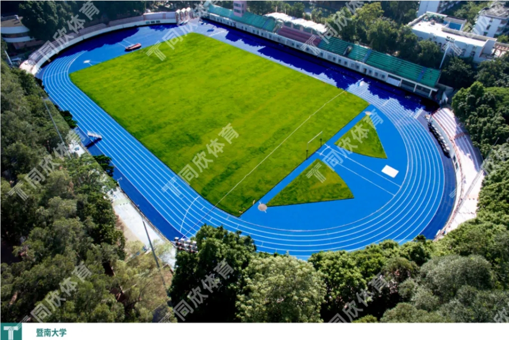 �����ʹ�5vip����