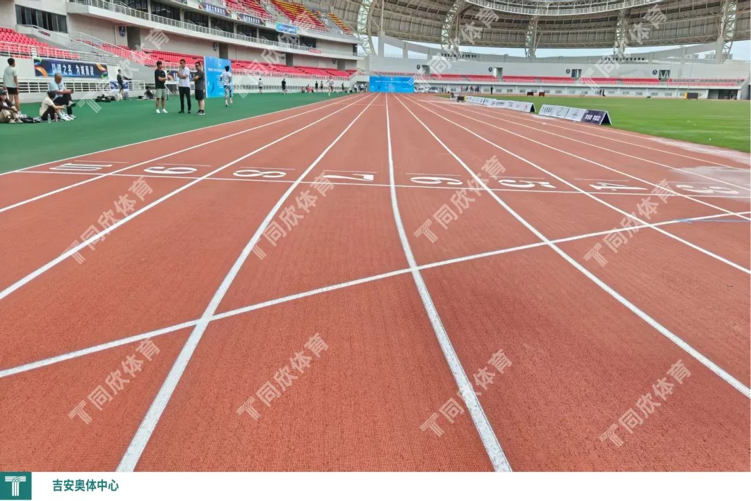 �����ʹ�5vip����