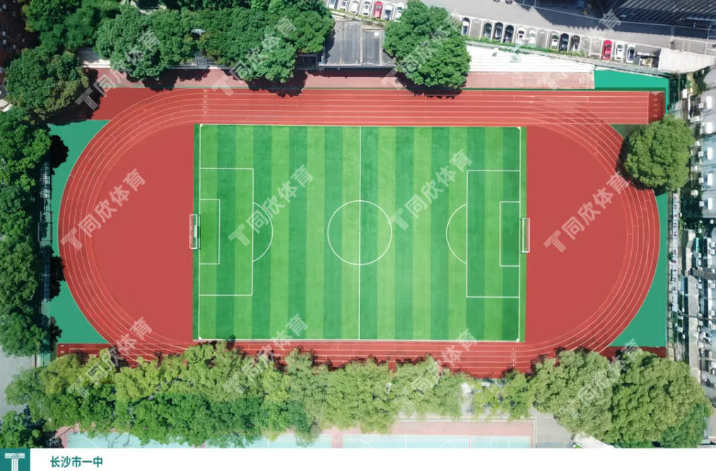 �����ʹ�5vip����