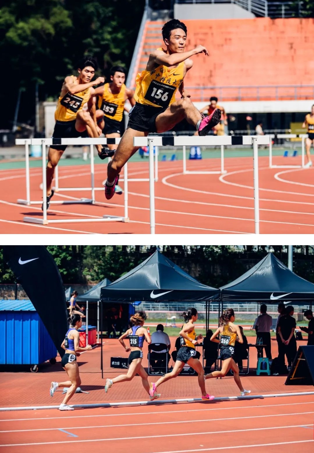 永利皇宫5vip官网