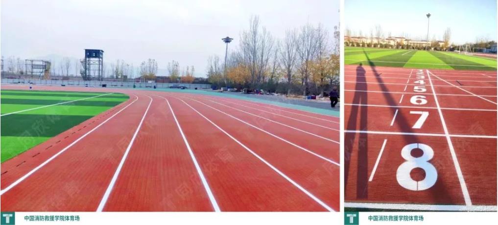 永利皇宫5vip官网