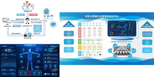 333体育-全网最有氛围的体育赛事直播平台